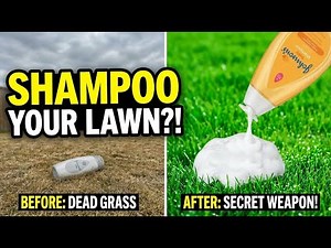 Lawn Care Pros Use Baby Shampoo—Here's Why