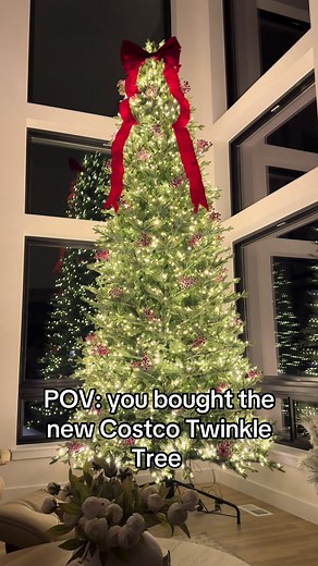 Costco Twinkle Tree vs. Home Depot Grand Duchess Balsam Fir