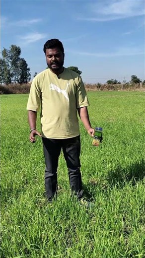 फसल में Azotobacter का सही उपयोग | नाइट्रोजन की कमी दूर 🌱