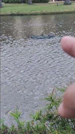 Waves in Nature 034 (Diffraction Around an Island)