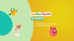Sharks are often represented as ruthless predators in movies and the media. But did you know they are actually key actors of the marine ecosystem and they help maintain balance? Come join Flash and Owl for an adventure in the ocean and learn more about these beautiful sea creatures this Shark Awareness Day, on ZooMoo Specials: Sharks, TOMOROOW at 12PM (GMT+8). #Sharks #Sharkawareness #ZooMoo | ZooMoo | Facebook