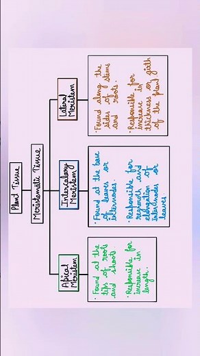 Meristematic Plant Tissue Types and Functions #biology #science