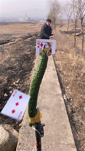 飞牌绝技#FlyingCardsXiaozhi