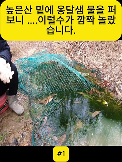 높은산 밑에 옹달샘 물을 퍼보니 ....이럴수가 깜짝 놀랐습니다. #fyp #videoviral #for #foryoupage❤️❤️
