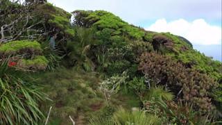 10K views · 252 reactions | ️ Hiking Mount Gower on #LordHoweIsland ️ ... and this is why the hike to the summit of Mount Gower is considered one of the best day walks in Australia!  Oxley Travel #JustParadise #SeeAustralia #FeelNSW | Lord Howe Island Tourism | Facebook