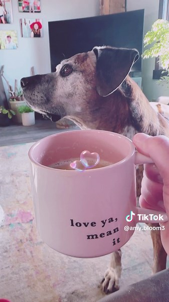 Amy Bloom (@amy.bloom3)’s videos with Good Ol' Dogs and God - Pryor & Lee