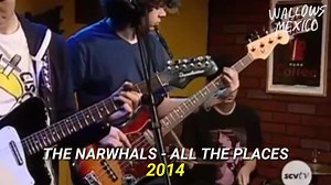 304K views · 10K reactions | Wallows a través de los años  | Wallows México | Facebook