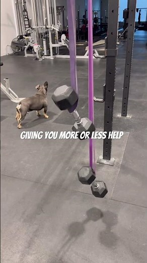 The science behind banded pull ups, how much are they really helping you? #pullups