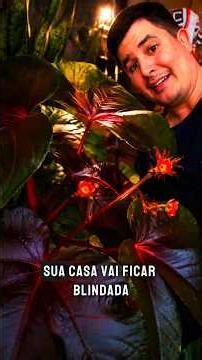 7 Plantas barreira que destroem a inveja antes de entrar! 🛡️🌿 #proteção #espiritualidade #bemestar