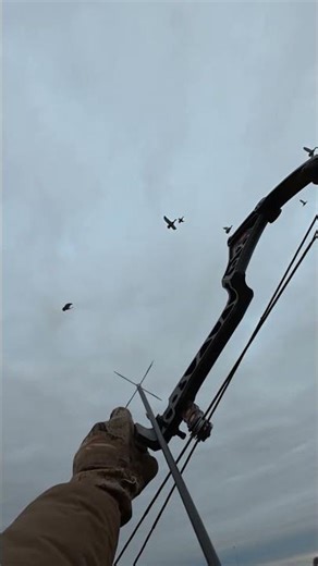 Epic Bow Hunting: Unleashing Arrows on Geese! #shorts