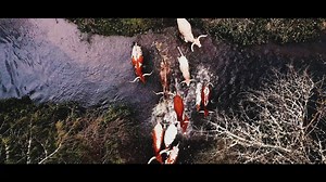 When you grow up on the ranch, it becomes a piece of your family. #BootBarn | Boot Barn