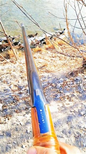 Duck Hunting With Powerful 12 gauge barrel shotgun best Hunting waders 2025