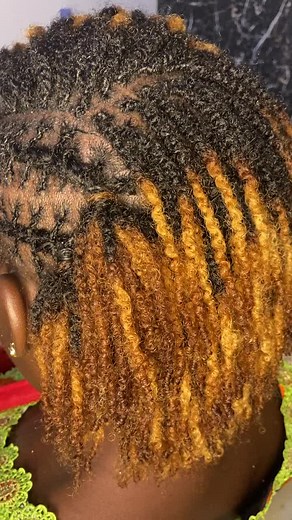 Guide to Microbraids and Microlocs for Women