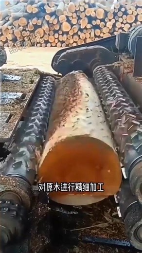 How Plywood Is Made – The Secret Inside Your Furniture!