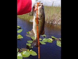 How to make your own Bass snake lure