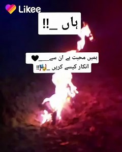 10K views · 109 reactions | Wanna join the world's most interesting magical social community? Download LIKEE to enjoy LIVE shows and short videos! | Likee | Facebook