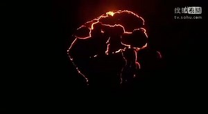 BBC 地球 全五集 01