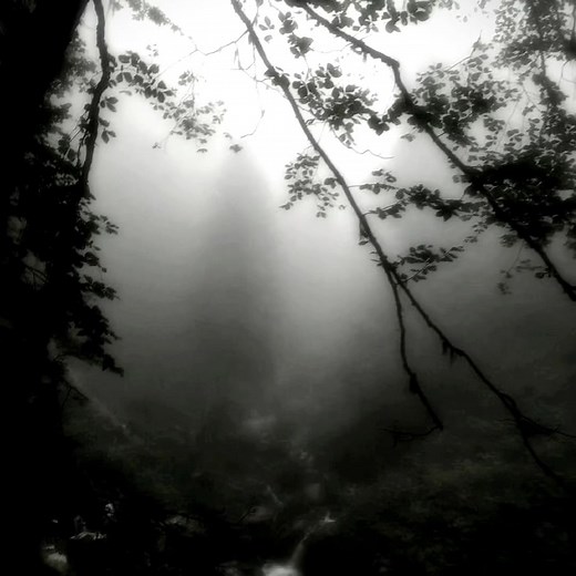 Exploring the Dark Naturalism Aesthetic in Film
