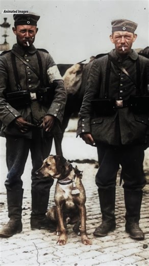 German WW1 Soldiers Brought to Life / HD Animated & Colorized Photographs