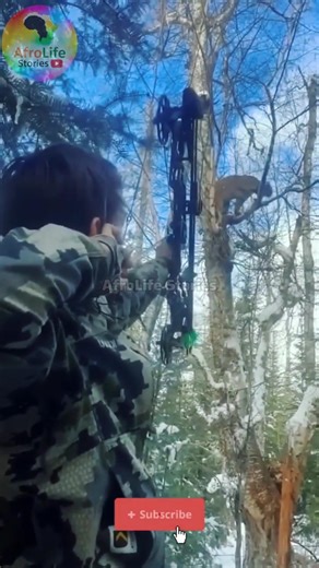 Modern Digital Bow Hunting | Incredible Archery Skills 🏹 Caça Moderna com Arco Digital. #archery