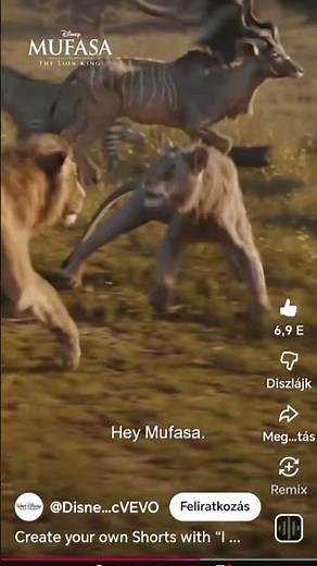 mindig is vágytam egy testvért Magyarul mufasa az oroszlánkirály