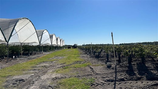 UF/IFAS receives $2.7 million for technology upgrades