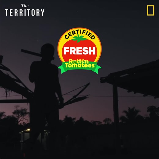 "Gripping" Los Angeles Times "Urgent" Paste Magazine "Magnificent" Collider.com THE TERRITORY is now Certified Fresh on Rotten Tomatoes. See the critically-acclaimed film in theaters across the country this weekend! www.TheTerritory.film | National Geographic Documentary Films | Facebook