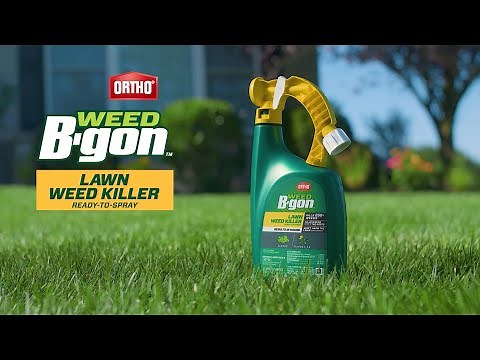 How to Use ORTHO® WEED B-GON™ LAWN WEED KILLER READY-TO-SPRAY