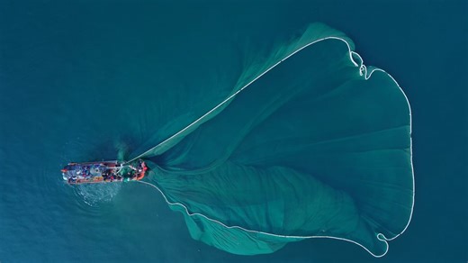 Fishing Boat, Offshore, Sea