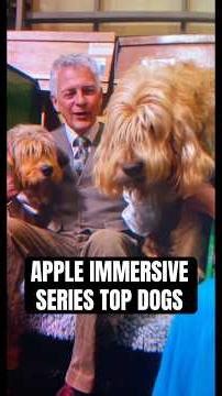 Top Dogs… A Brand New Apple Immersive series only on Apple Vision Pro #crufts #dogs #pets ‪@Apple‬