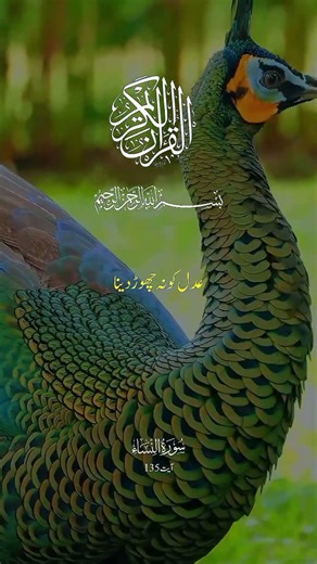 be work for truth and insafe