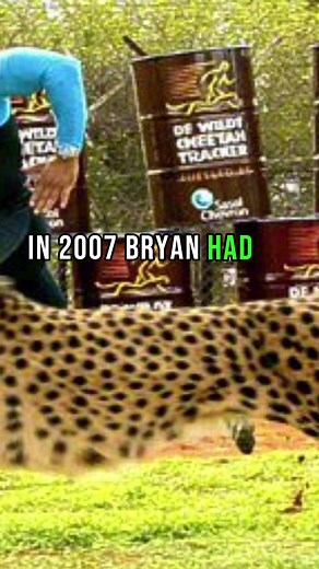 How Fast Are Springbok Rugby Players? #shorts #rugby #southafrica | rugby