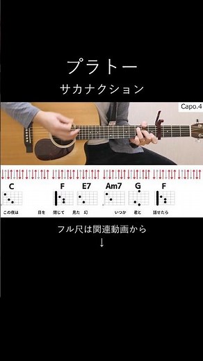 サカナクションさんの「プラトー」を弾き語りするなら参考にしてみてください #弾き語り #アコギ #ギター #コード #ストローク #サカナクション