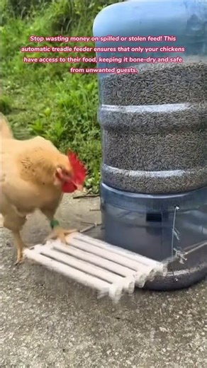 The Smartest DIY Chicken Feeder! 🐔⚙️ #smart #diy #chicken #tips #tricks #lifehacks #how #feed