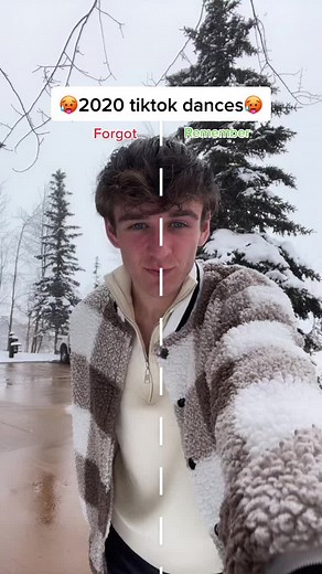 2020 TikTok Dances Compilation