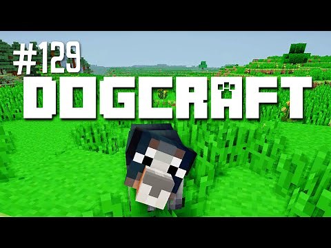 Misty of Dogcraft | Dogcraft (Ep.129)