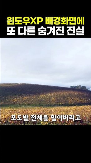 Another Hidden Truth About the Windows XP Wallpaper
