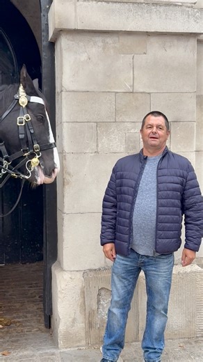 3.8K views · 26 reactions | Gets scared #kingsguard #horse #scared | Marks London Traditions | Facebook