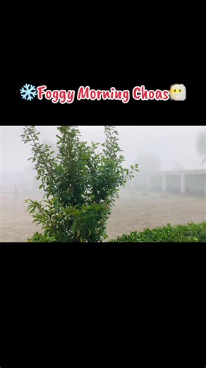 Muslim Modern Public School (@muslim.modern.pub)’s videos with original sound - Seema Muzimdar❤️🌍