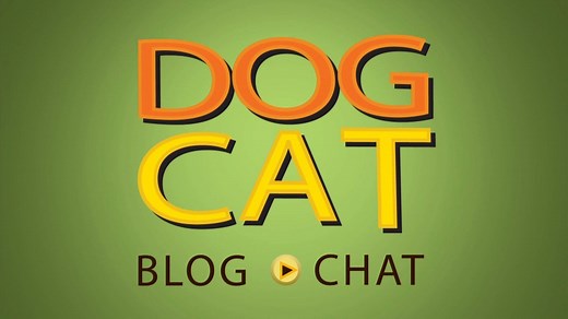 Dog Cat Blog Chat - Episode 102
