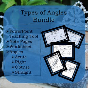 Types of Angles Bundle