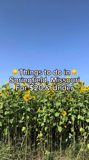 10 things to do in Springfield, Missouri under $20. #springfieldmo #springfieldmissouri #lovespringfield #417