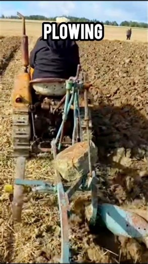 Mini Crawler Tractor Plowing in the field #usatractor #minitractor #plowing