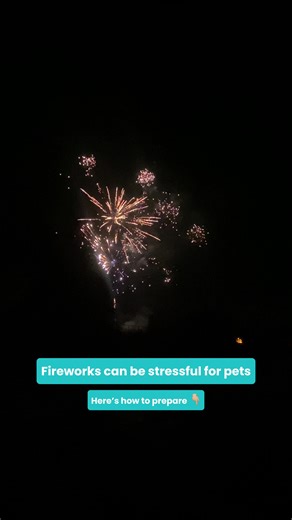 Fireworks can be overwhelming for many pets, especially when the noise is unexpected 👀 If you’re preparing for New Year’s Eve: • Bring pets inside early and keep them secure • Close windows and curtains to reduce noise and flashes • Create a quiet, familiar space they can retreat to • Make sure ID tags and microchip details are up to date A little preparation can help keep pets calmer and safer as the celebrations begin! Save this or share it with another pet owner 🌟 #newyears #fireworks #auss
