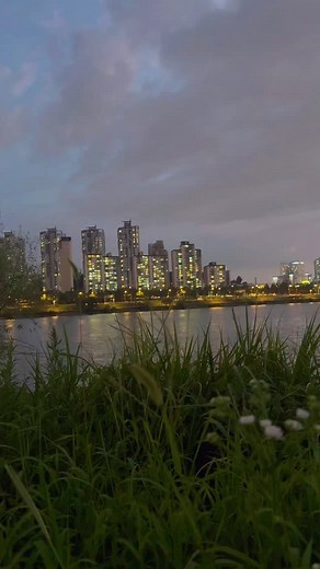 17K views · 11K reactions | Why do people say they like me in front of me Follow me @ever.lost.in.seoul Credit @byeol.talk | Learn 한국어 | Facebook