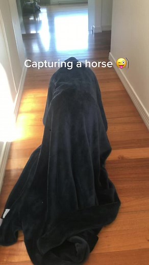 Horse riding #human #horseriding #fun #1mlikes #fyp #fypシ #fypシ゚viral #getviral #dontflop