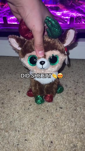 Phoenix the Beanie Boo Art and Tommy the Jade Plant Fan Video