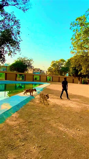 Exploring Karachi Zoo: A Family Adventure