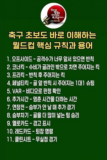 시니어수첩ㅣ축구 초보도 바로 이해하는 월드컵 핵심 규칙과 용어