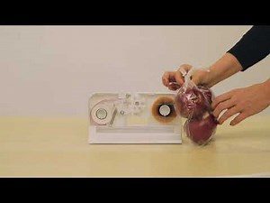 How to Use The Innoseal Tamper Evident Poly Bag Sealer